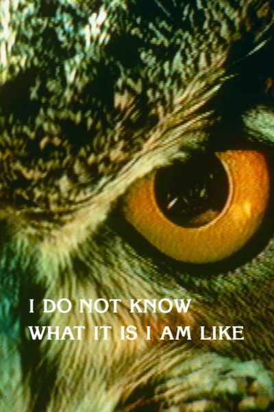 I Do Not Know What It Is I am Like (1986) I Do Not Know What It Is I am Like (1986)