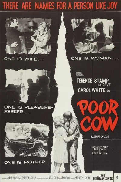 Poor Cow (1967)